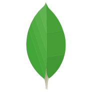 mongoDB